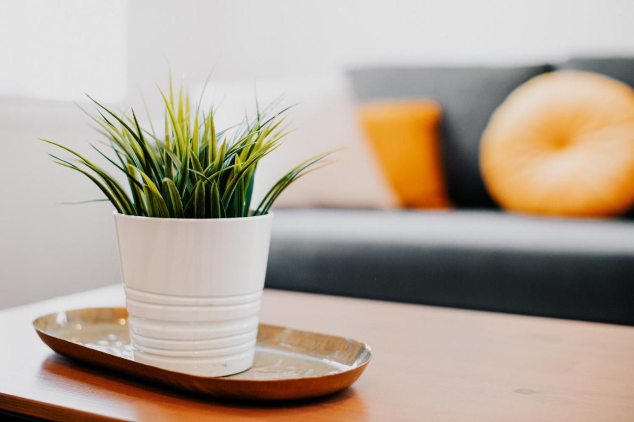 Appartement Cosy Avec Place De Parking Prive Toulouse Exteriér fotografie